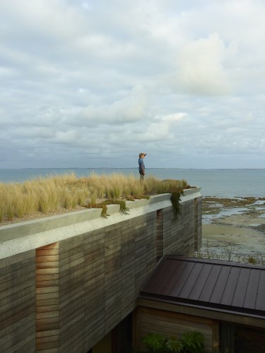 Prospect & Refuge: A Spectacular Coastal Home Both Wild and Cozy - Remodelista
