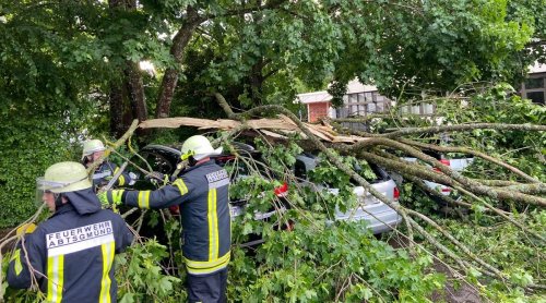 Gewitter im Ostalbkreis: Umgestürzte Bäume in Abtsgmünd
