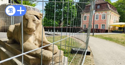 Hinter Gittern: Löwin macht sich bereit für die Restaurierung