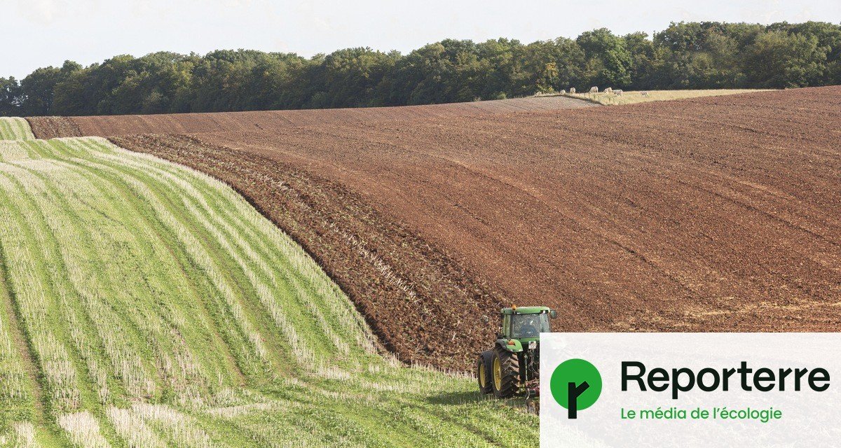Exporter au lieu de nourrir, le « scandale » de l’agriculture française