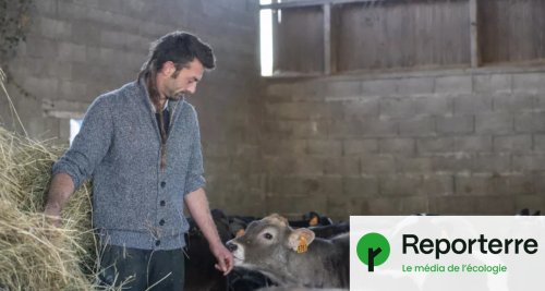 Le calvaire d’un éleveur lâché par l’État après une erreur de diagnostic