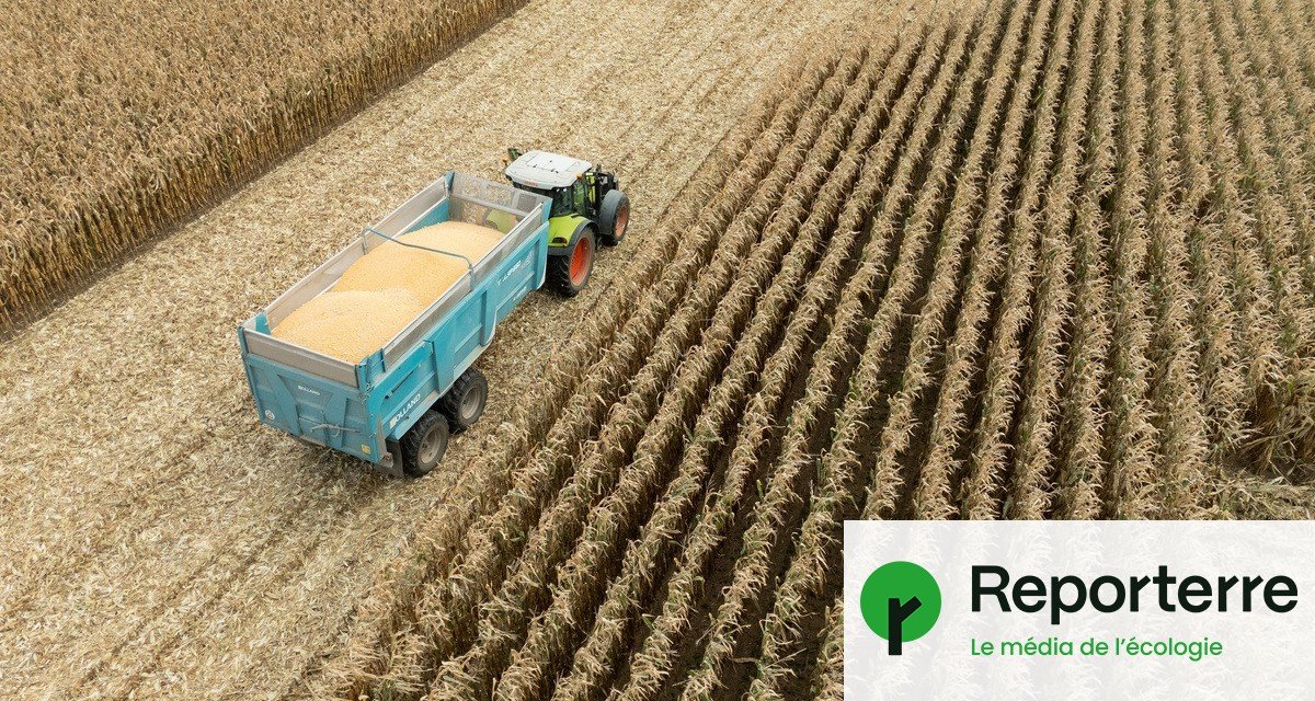 « Produire plus pour exporter plus » : le « foutage de gueule » de la souveraineté alimentaire voulue par l’État