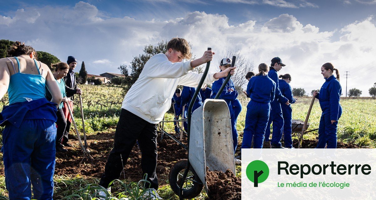 Créer des mares pour réconcilier agriculture et biodiversité