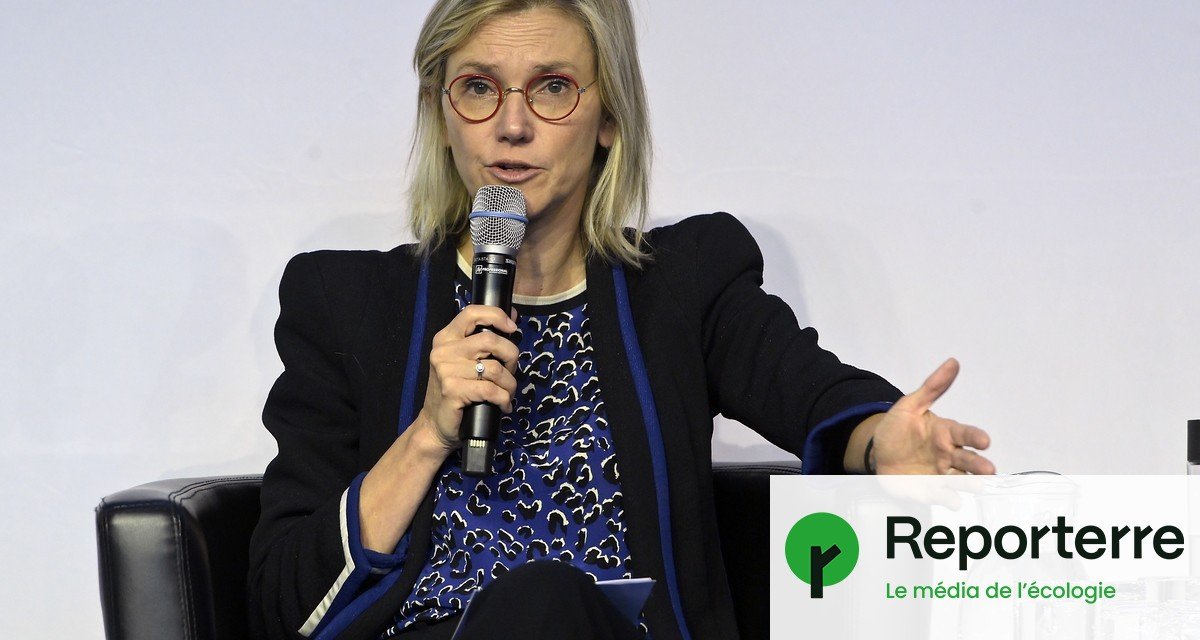 Quand Agnès Pannier-Runacher soutenait les néonicotinoïdes