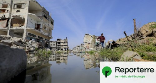 « Israël veut couper tout lien des Palestiniens avec leur terre »