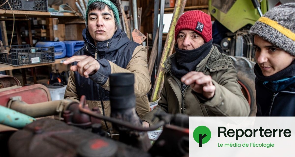 « Moi aussi, je suis capable de le faire » : quand les paysannes s’approprient les tracteurs