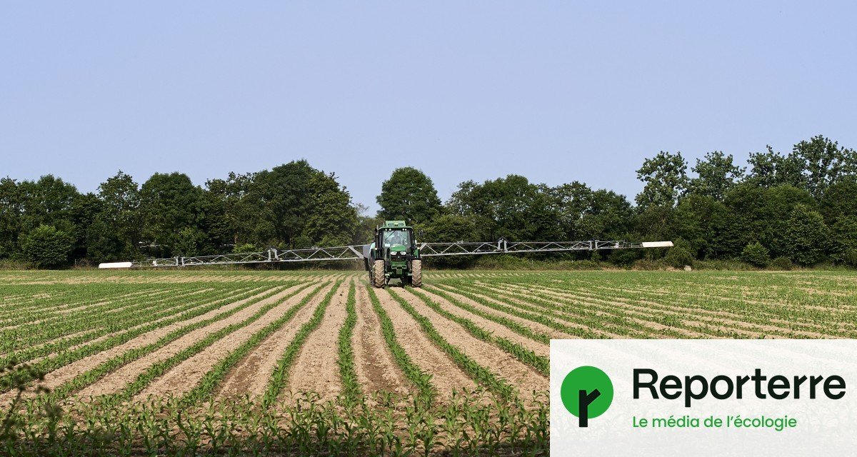Une décision de justice met des dizaines de pesticides sur la sellette