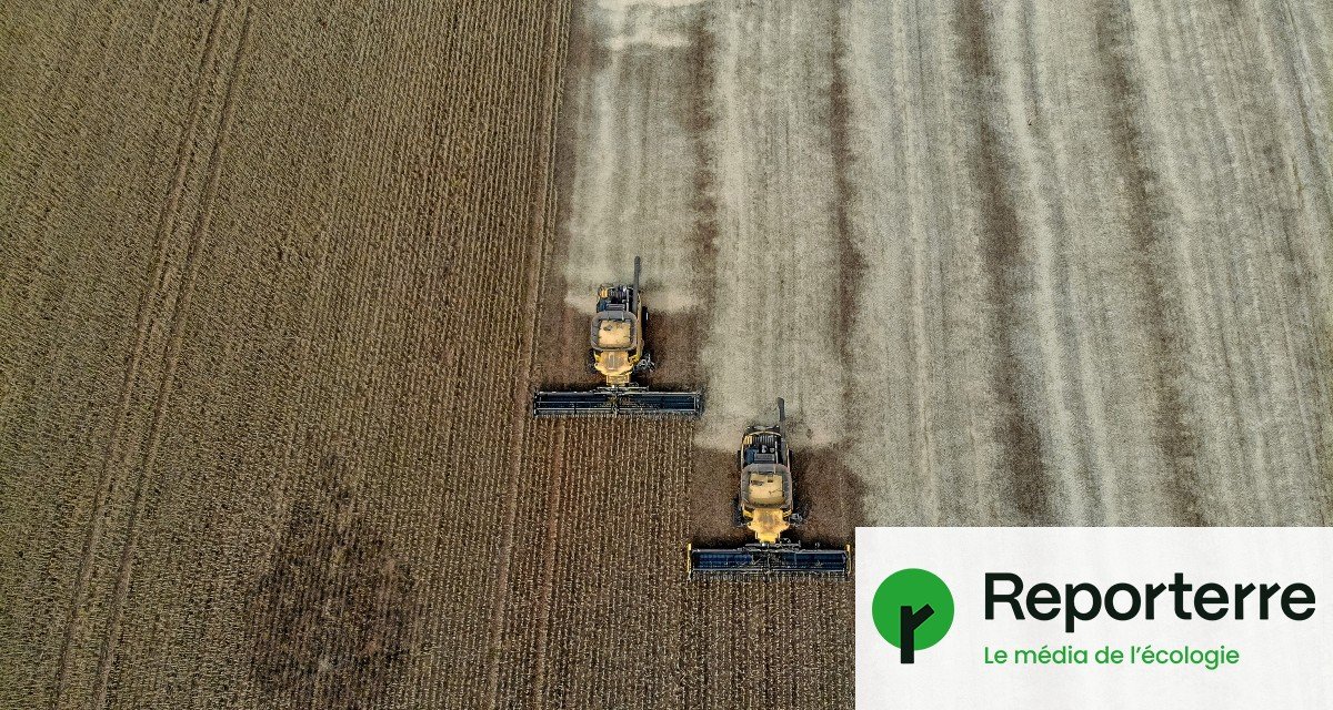 Mercosur : l’agrobusiness brésilien, le grand gagnant de l’accord