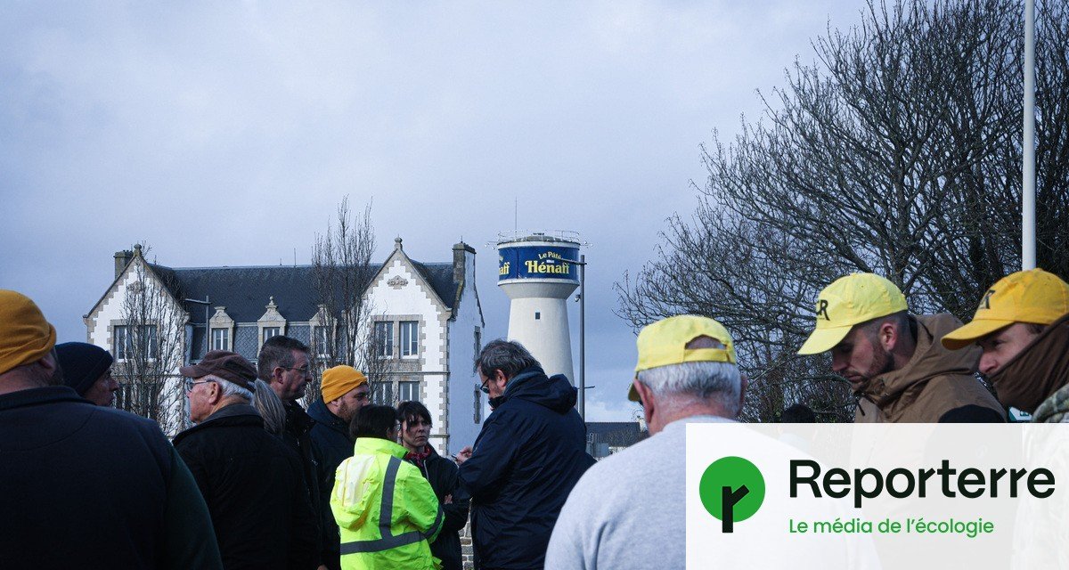 Hénaff : derrière le label « produit en Bretagne », du bœuf d&rsquo;Amérique du Sud