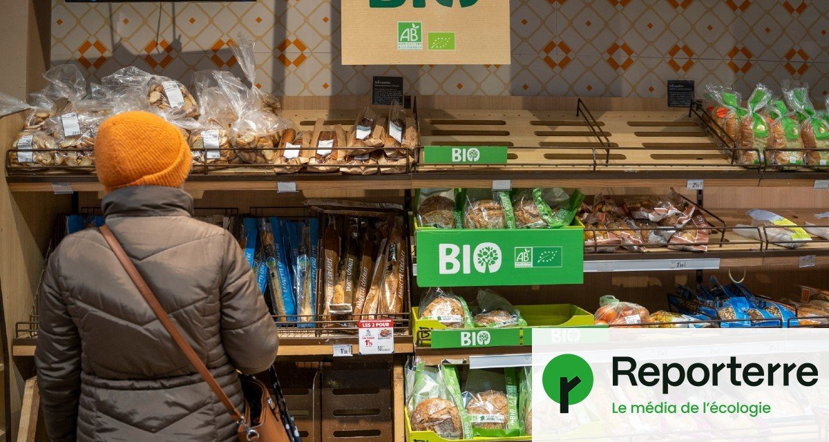 « On peut trouver du bio pas cher, mais c’est une galère »