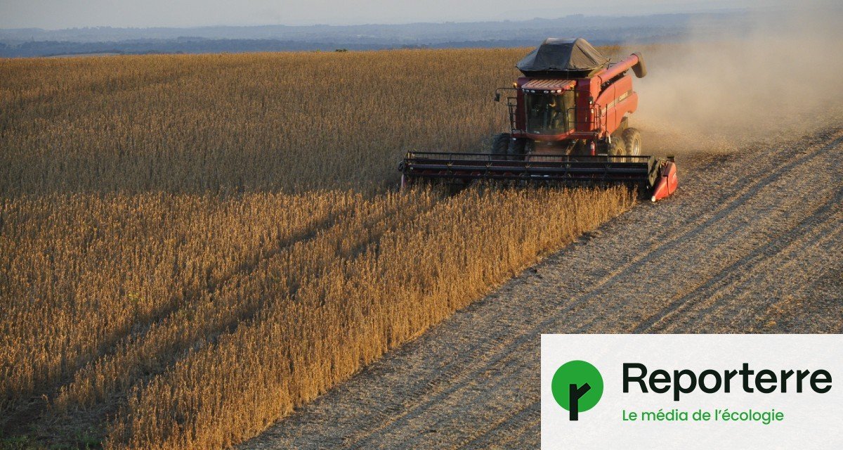 Nouveaux OGM : l&rsquo;UE donne son feu vert