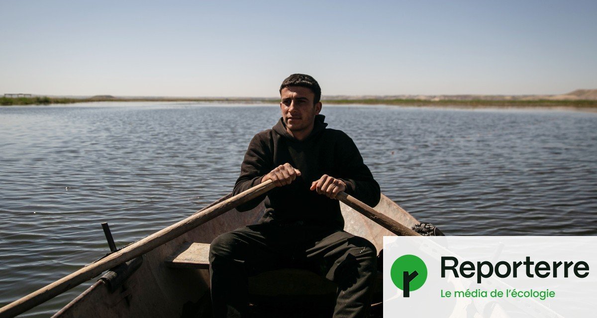 À Kobané, l’eau et la nature au cœur de la guerre en Syrie