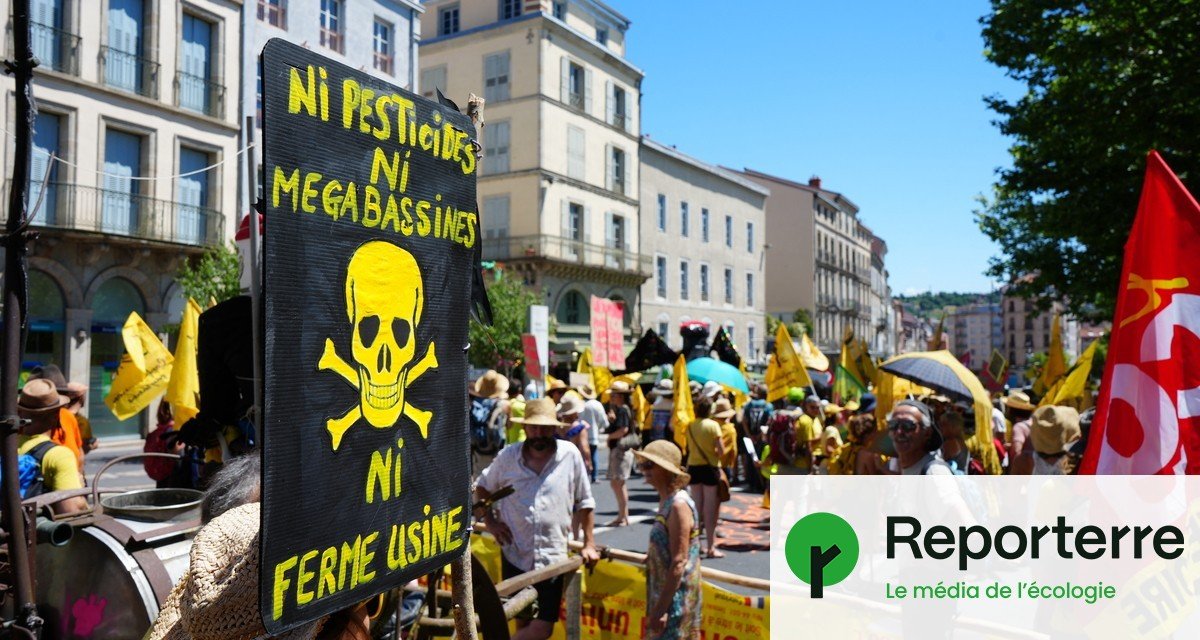 « On va continuer à se battre » : les opposants à la loi Duplomb maintiennent la pression