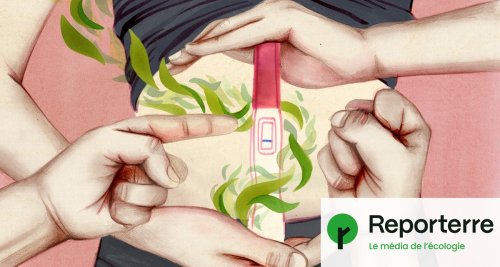 Les contraceptions « naturelles » : féministes ou réacs ?