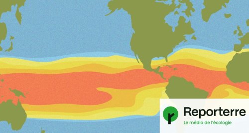 Avec El Niño, la température pourrait bondir en 2023