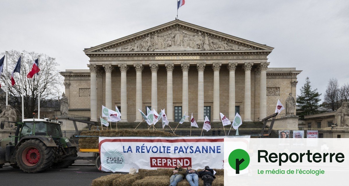 Colère agricole : tapis rouge pour la FNSEA, mépris pour la Confédération paysanne