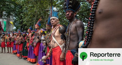 Au Brésil, les députés votent un texte réduisant la protection des terres indigènes