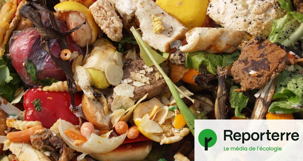 132 kg d'aliments gaspillés chaque année par chaque Européen