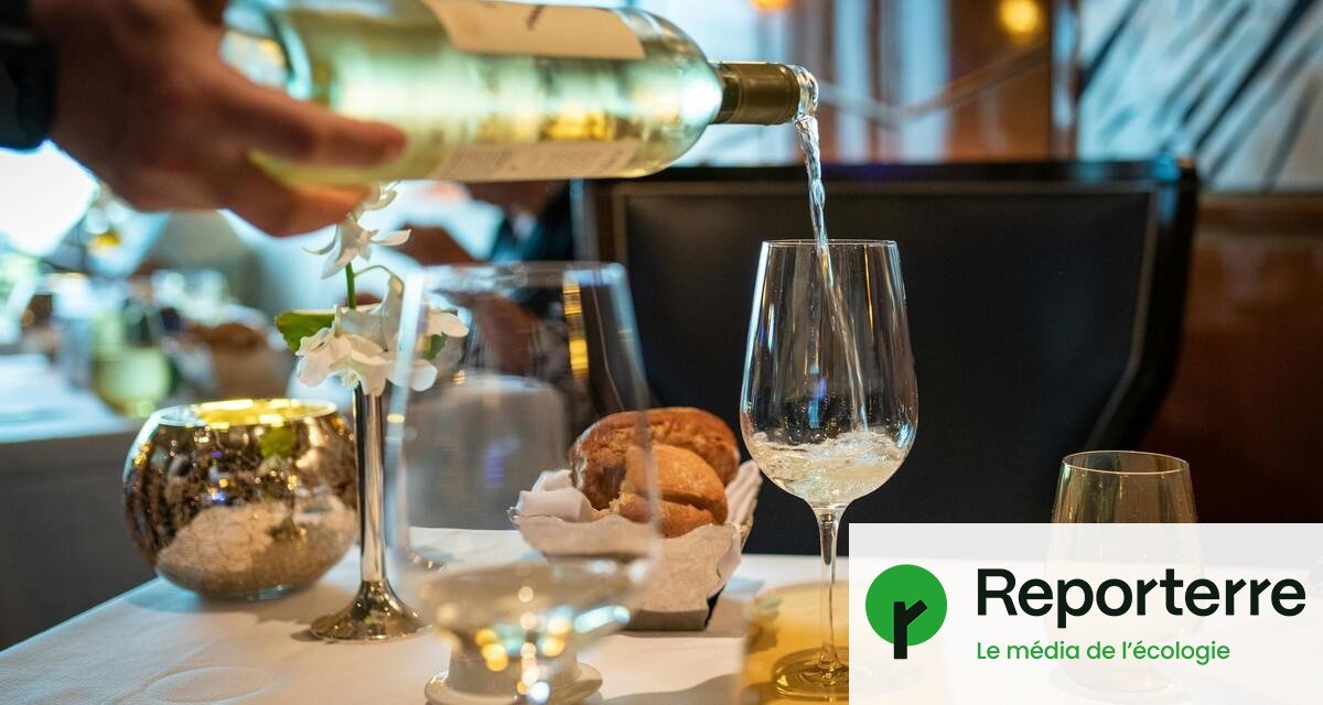 Les vins européens massivement contaminés par les PFAS