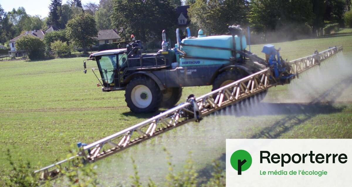 Pesticides : comment la loi Duplomb menace notre santé