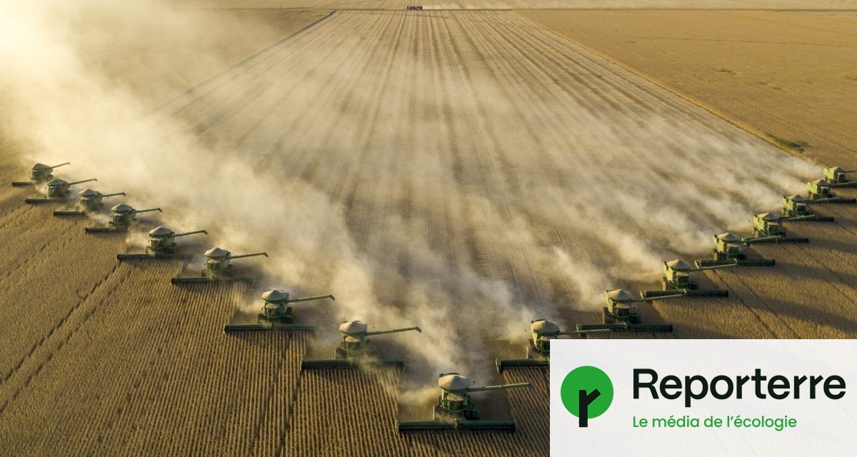 Mercosur : cette agro-industrie qui pourrait inonder l’Europe
