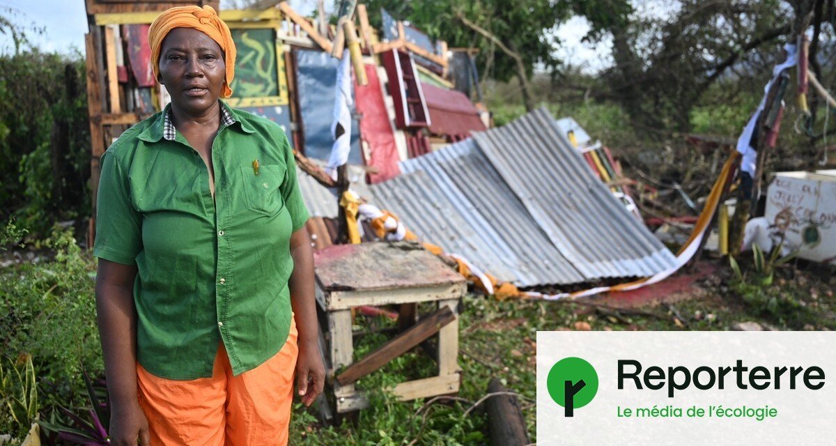 « Tout est perdu » : après l’ouragan Melissa, une lente reconstruction attend la Jamaïque