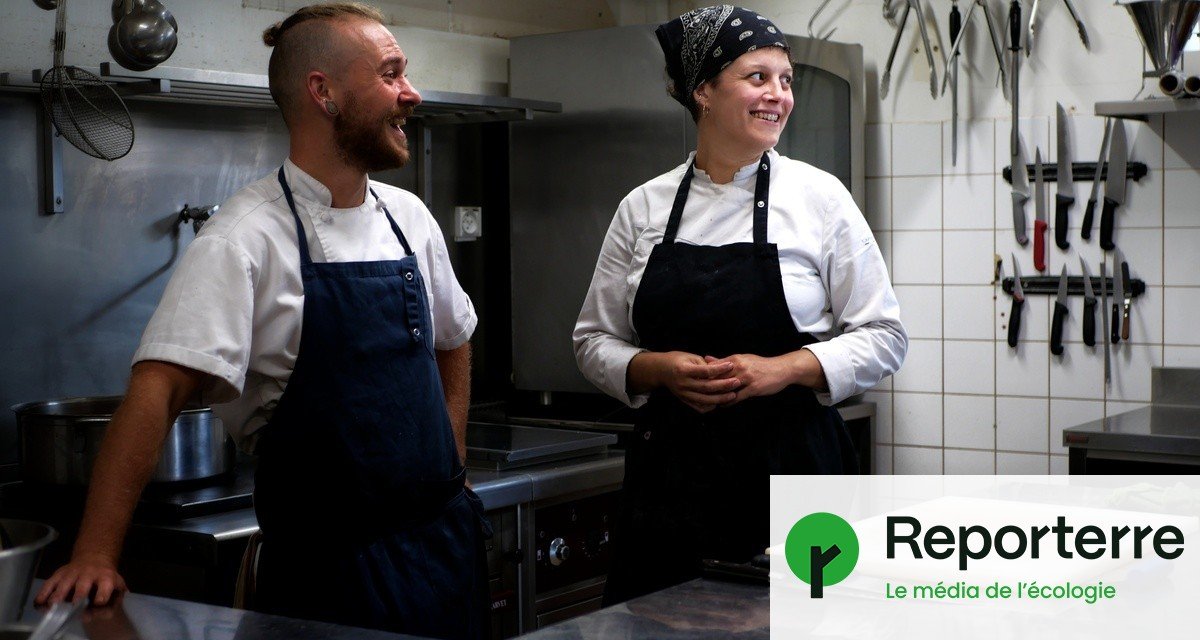 Grands chefs cuisiniers, ils s’engagent contre la loi Duplomb