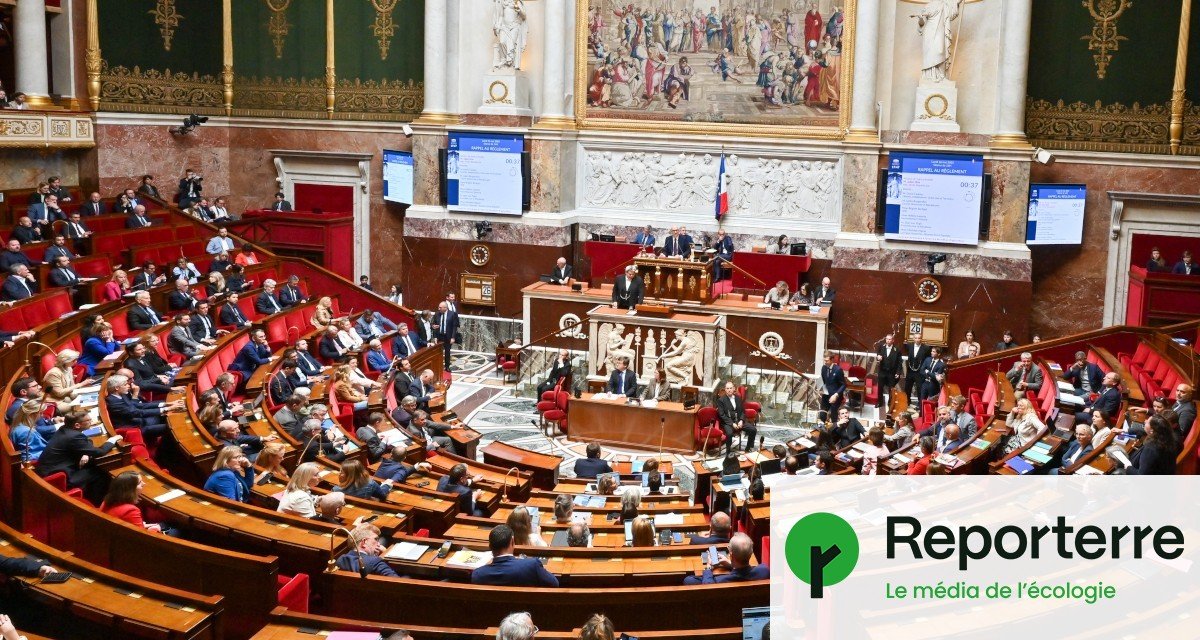 Loi Duplomb : adoption d’un texte funeste pour l’environnement