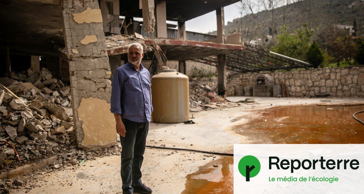 Épandages toxiques, arbres arrachés : au Sud-Liban, Israël s’attaque aux agriculteurs
