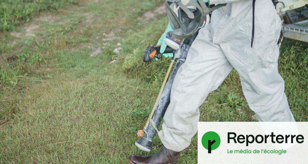 Pesticides : des scientifiques dénoncent des pressions du gouvernement