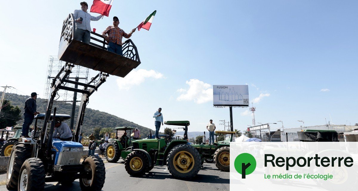 « Du jamais-vu » : au Mexique aussi, les agriculteurs bloquent routes et postes frontières