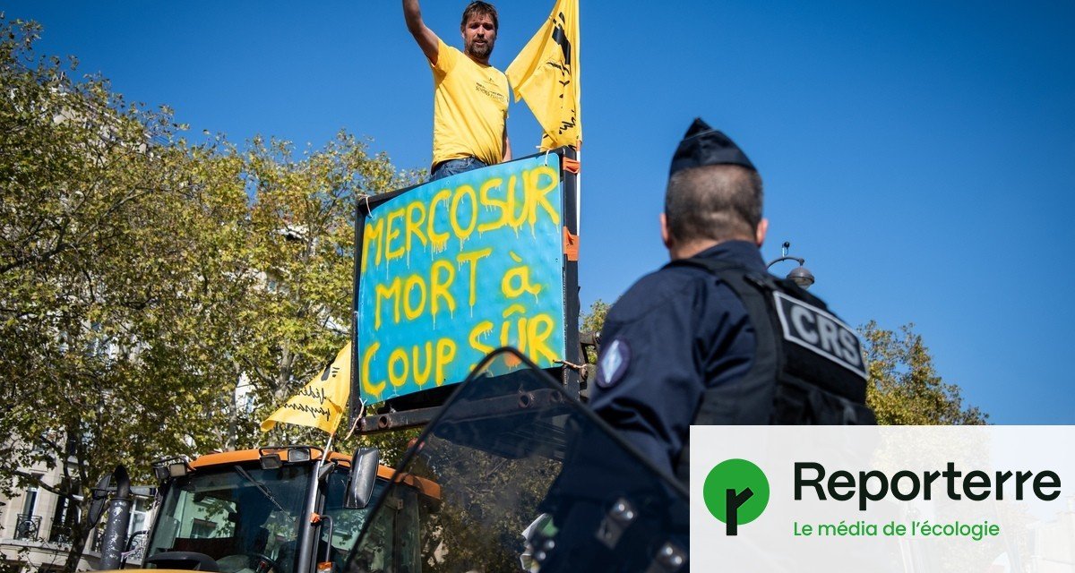 « C’est une trahison » : les paysans en colère après les propos de Macron sur le Mercosur