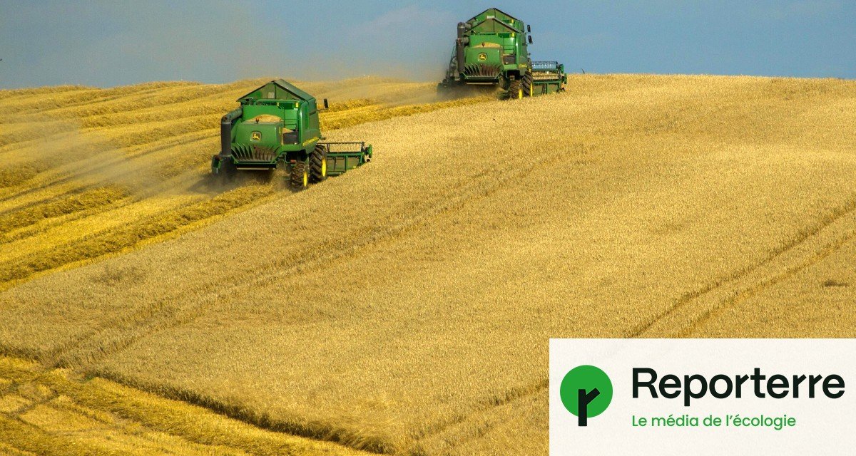 Agriculture : cette loi écocide que le Sénat s’apprête à voter
