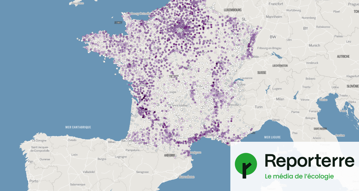 Votre école est-elle exposée aux pesticides ? Consultez cette carte du « Monde »
