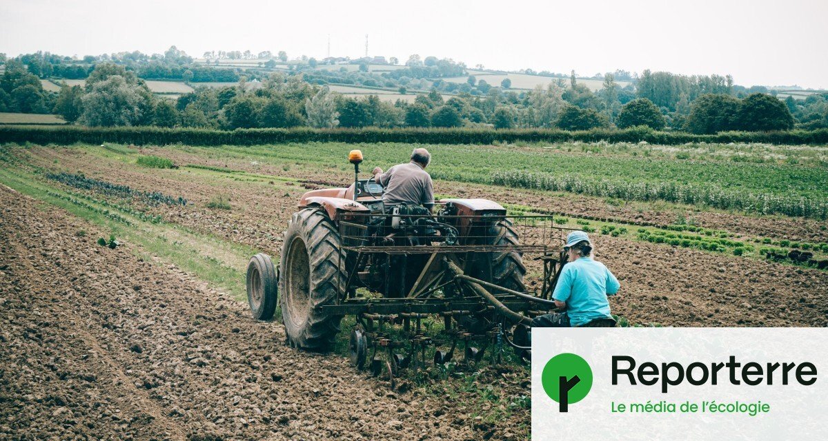 Agriculteurs, ils disent non à la loi Duplomb