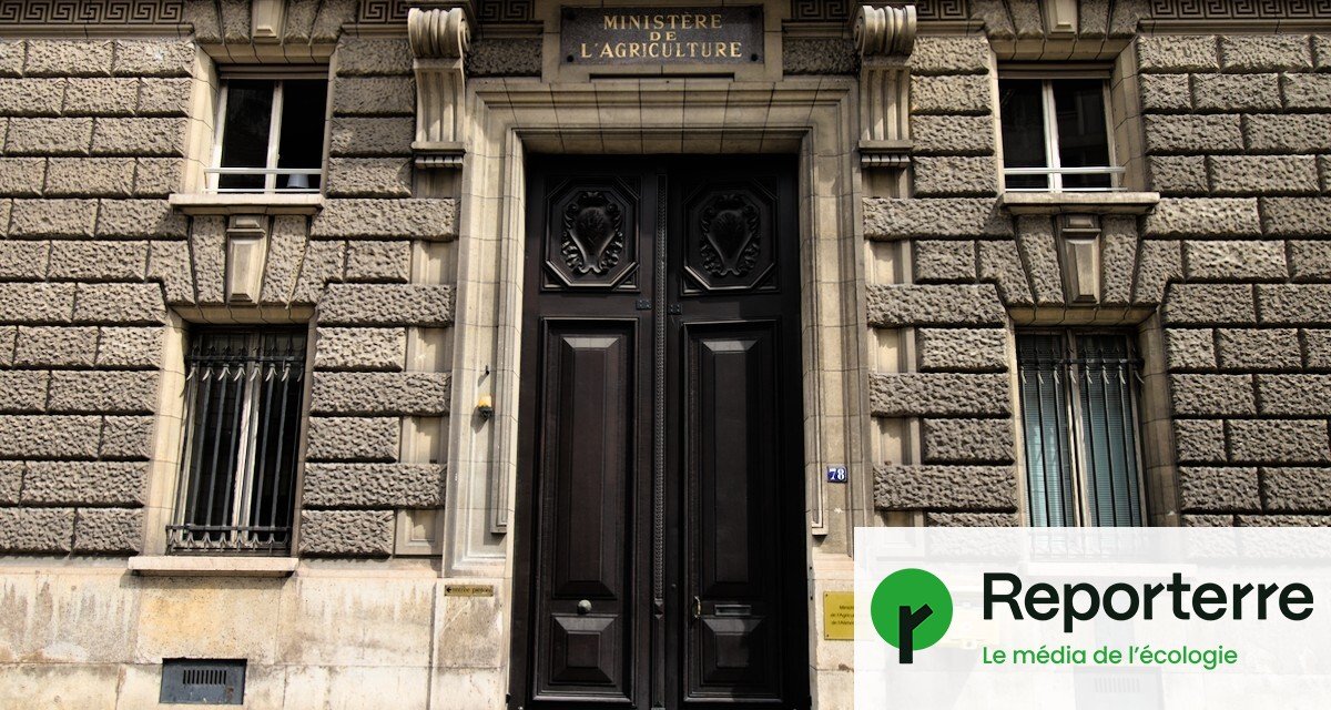 La ministre de l’Agriculture accusée par des scientifiques d’édulcorer un rapport sur la santé