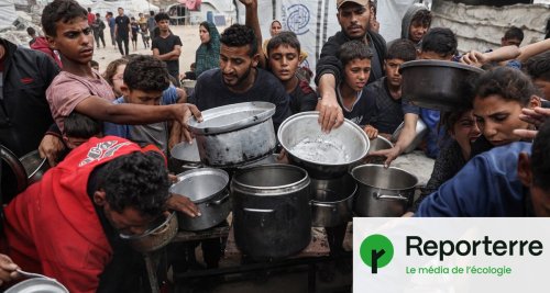 À Gaza, survivre malgré la famine