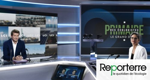 Jadot et Rousseau : des programmes proches, des méthodes différentes