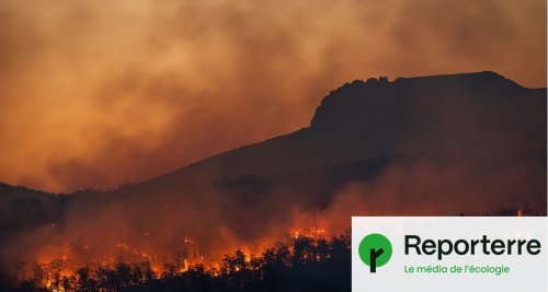 Les mégafeux de forêt redémarrent déjà au Canada