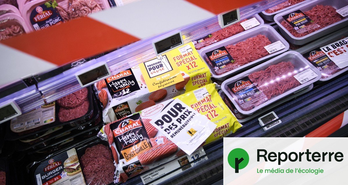 Antibios, pesticides interdits… Ce que l’accord UE-Mercosur va mettre dans nos assiettes