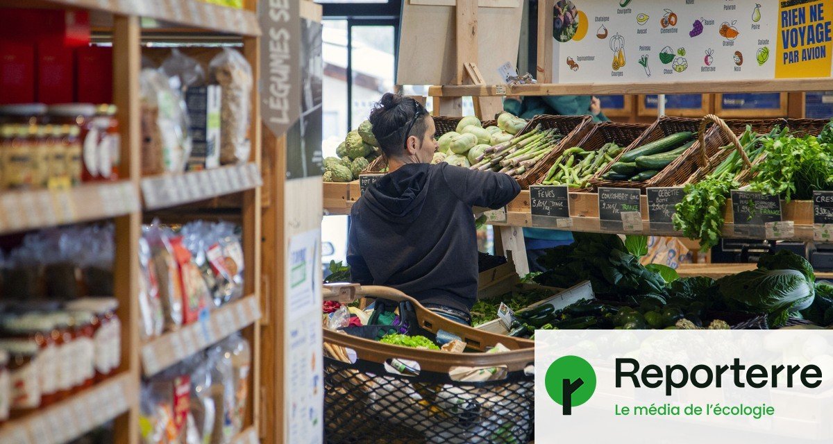 Ventes record : les magasins bio sortent de la crise