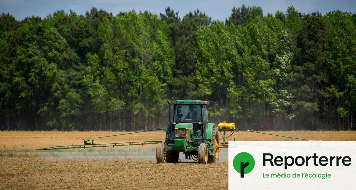 Désastreuse pour la biodiversité, la loi d’orientation agricole est adoptée