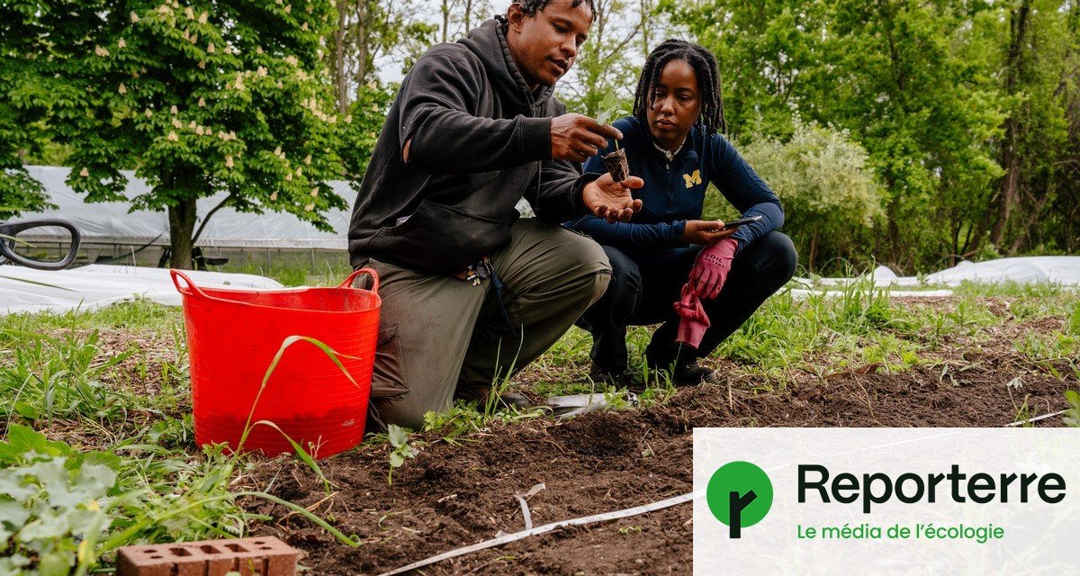 L’agriculture, un outil de « libération » pour les Afro-Américains de Détroit