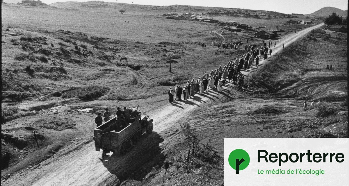 En Algérie, la France coloniale a aussi détruit la nature