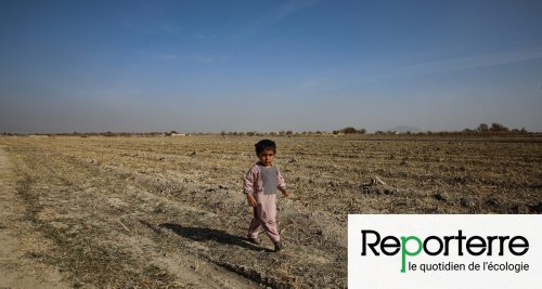 En Afghanistan, la pluie ne tombe plus, la famine guette