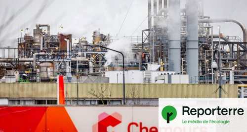 Fermeture brutale d'une usine à PFAS : les salariés inquiets pour leur santé