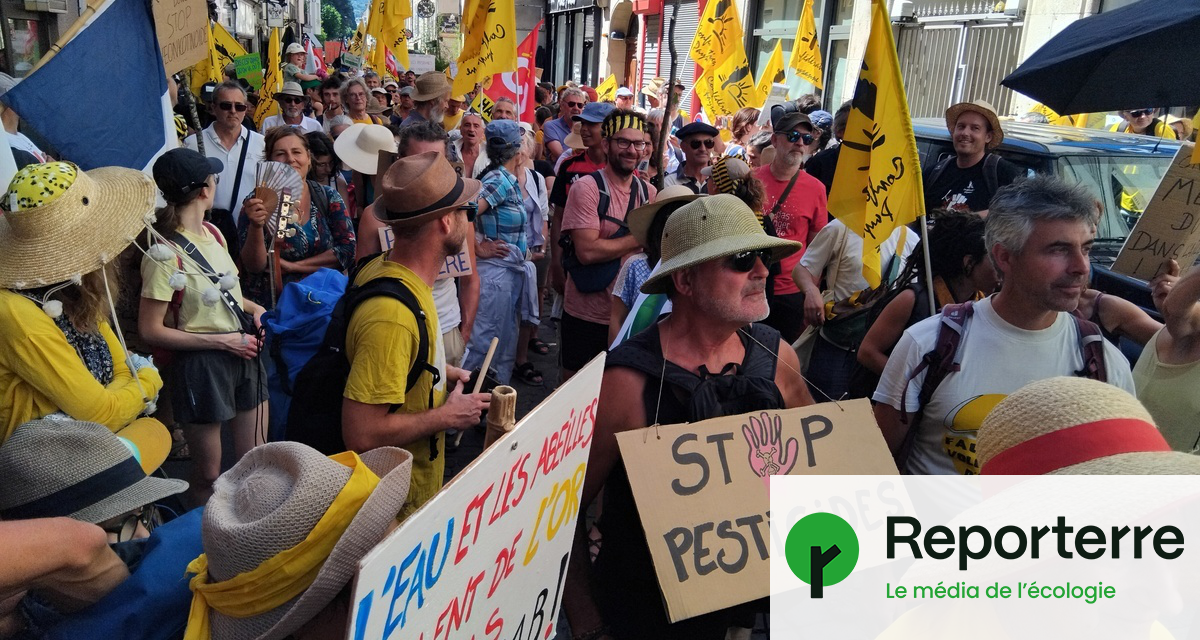 « Pas de loi Duplomb, on veut des papillons ! » : 10 000 personnes en colère partout en France
