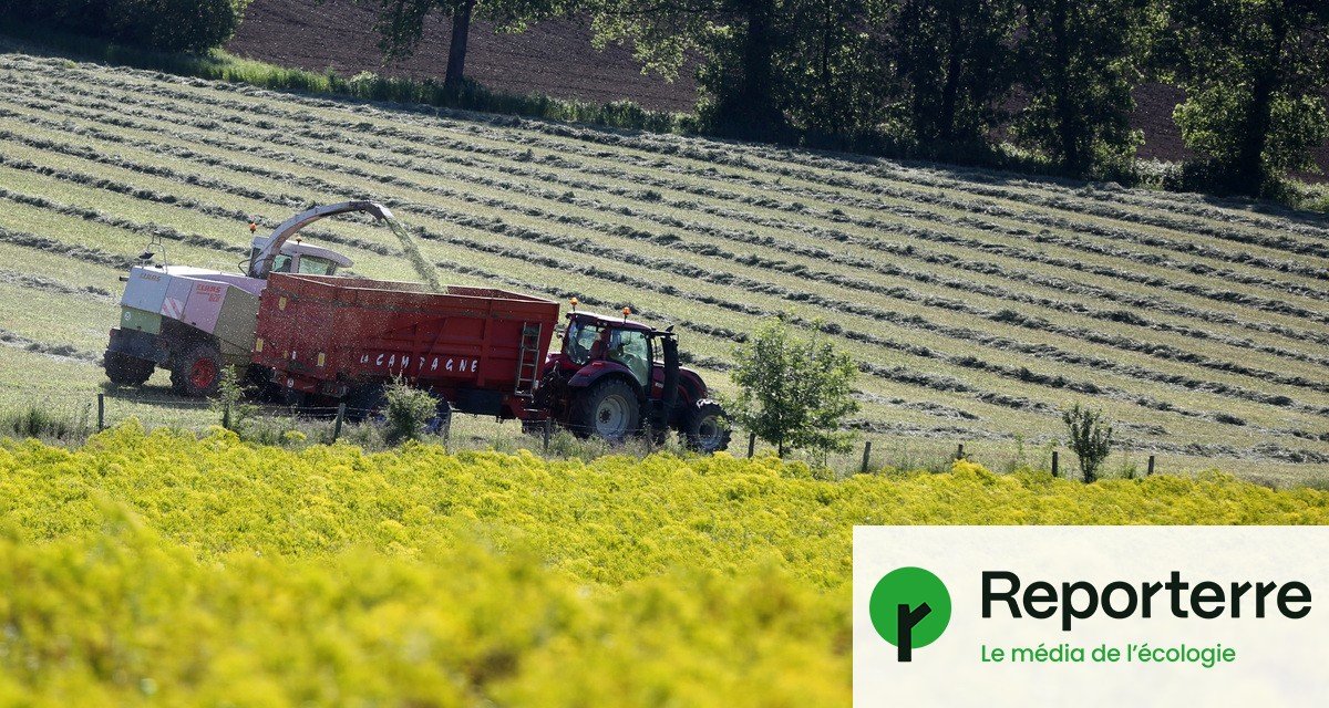 La « souveraineté alimentaire », une revendication paysanne détournée par l’agro-industrie