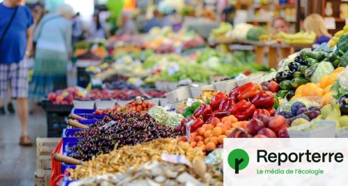 4 Français sur 5 ne mangent pas assez de fruits et légumes