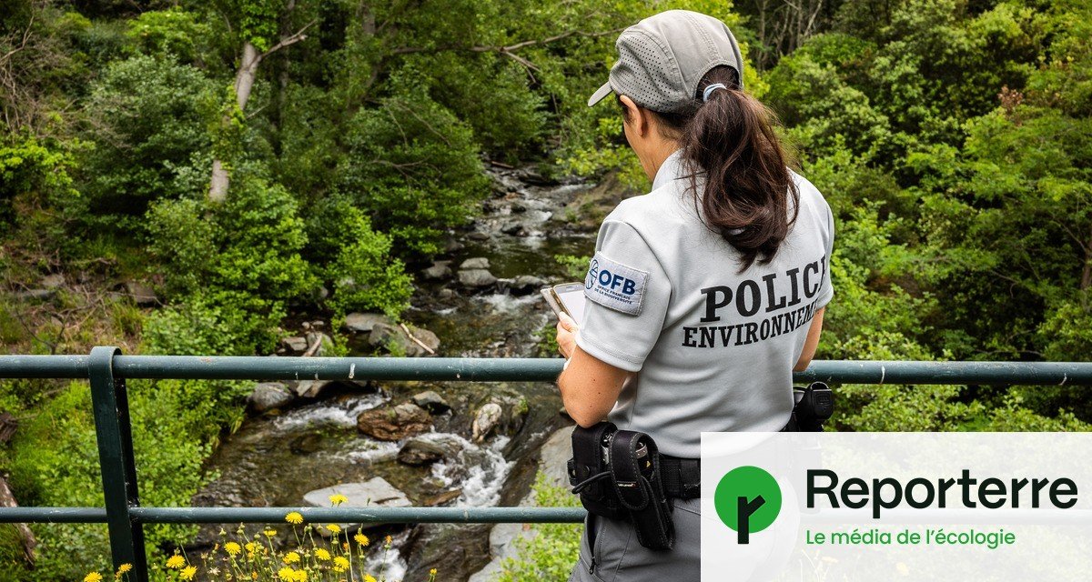 Budget : la droite et le RN veulent la peau de l’OFB et l’Ademe